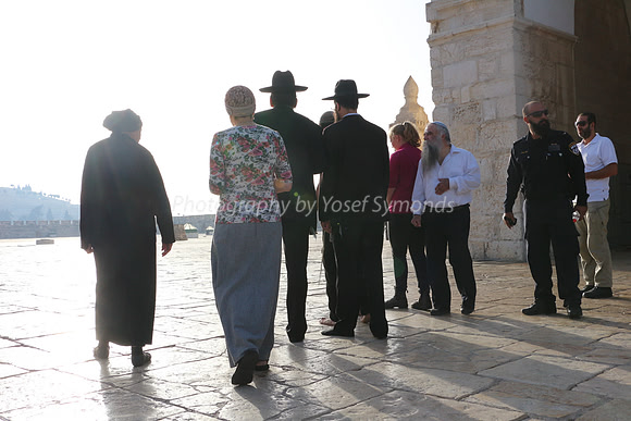 Walking in Contemplation 9