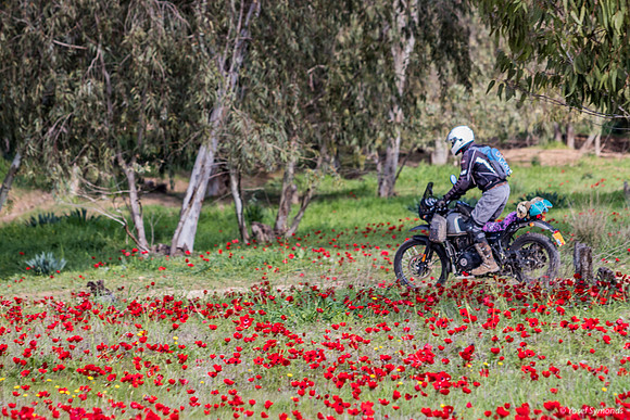 Motorcyclist 220216--9