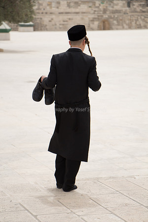 Temple Mount 140605 June 2014