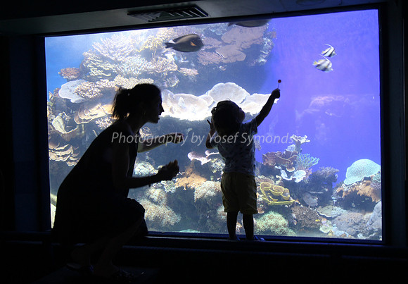 Observers of the Underwater 11