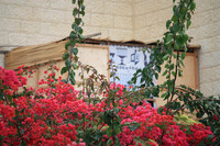 Sukkah in Red Foliage