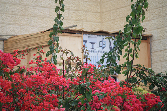 Sukkah in Red Foliage