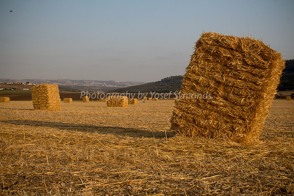 Haystacks in Field 170721-32