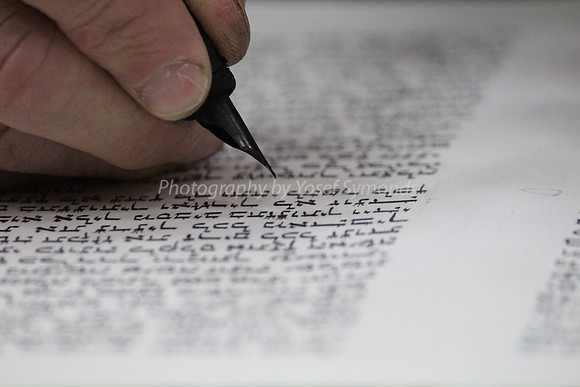 Checking the Parchment Scroll 3