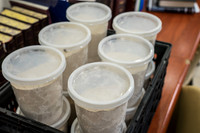 Shmura Flour 190408-1