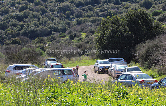 Carpark Starting Point