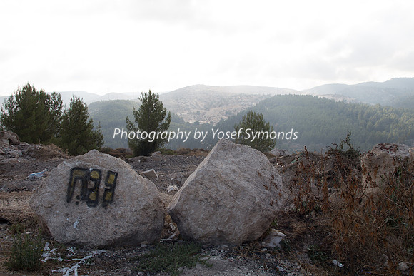Mishkafayim 2014 Q3 7978