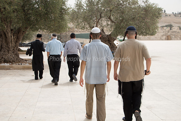 Temple Mount 140605 June 2014