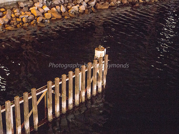 Fence in Harbor 180603-1