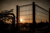 Fence Before Sunset 1
