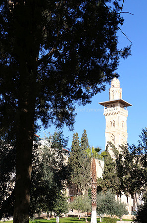 Antonia Fortress 1