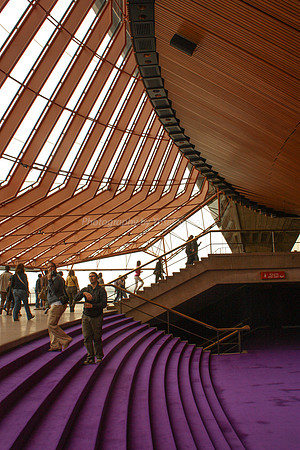 Foyer, Steps and Ceiling 5