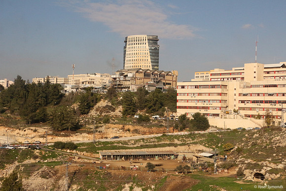 Stables - Jerusalem Forest 1