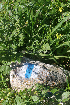 Trail Markers - SPNI 3