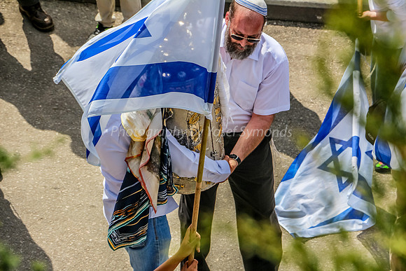 Torah and Flag 2