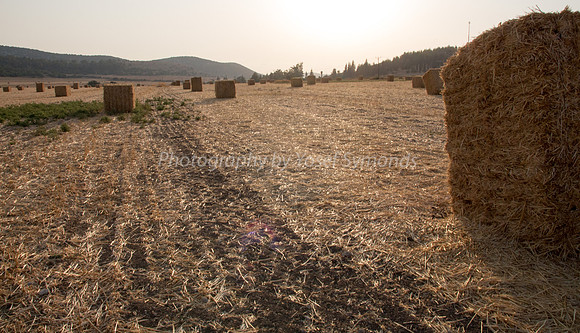 Haystacks in Field Against Sun 170721-12