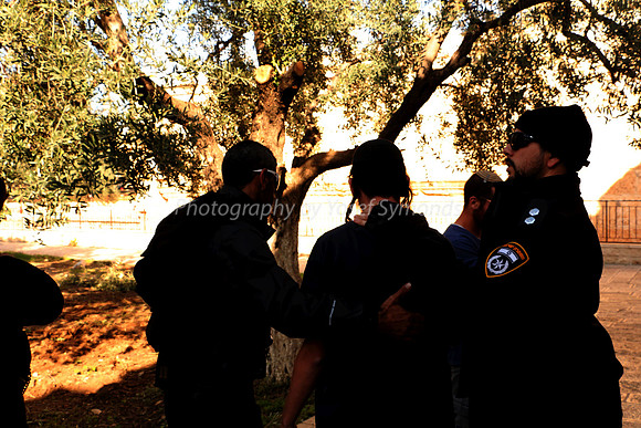Hear Oh Israel...Arrest