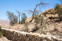 Trees on Slopes of Grofit 1