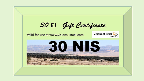 ₪30 Gift Certificate