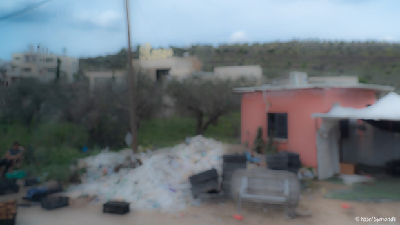 DSC09764