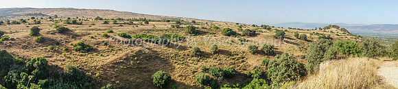 Panorama of Plains Below Snir 1