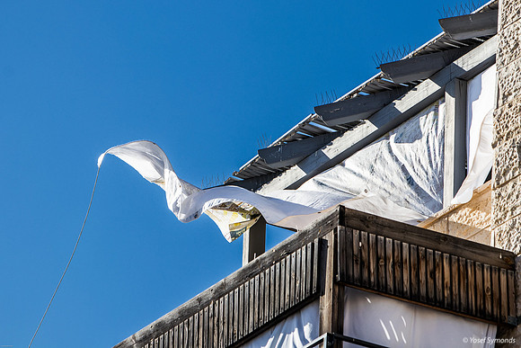 Sailboat Sukkah 241023-1