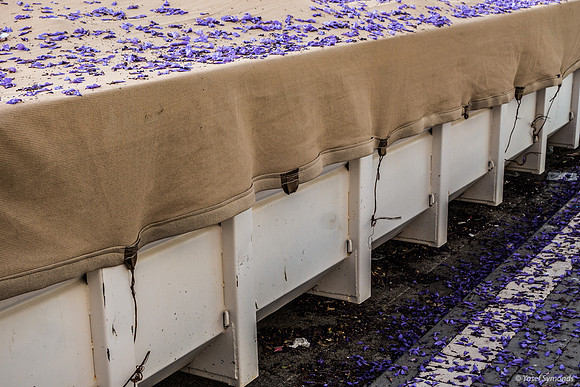 Jacaranda Tree Sprinkles Leaves on Industrial Waste Bier As Last