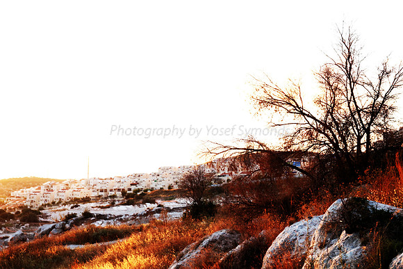 Mem 3 2014 Q3 Sunset on Ramat Shilo 8046B