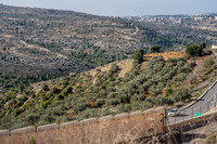 Illegal Agricultural Use of State Land  221220-4