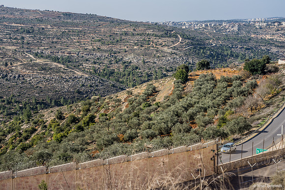 Illegal Agricultural Use of State Land  221220-4