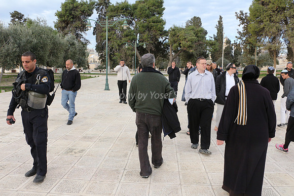 Jews Walking Backwards to Honor Site of Holy Temple 1