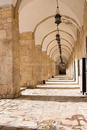160515-HarHabayit-6463