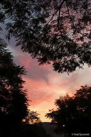 Sunset RBSA 2
