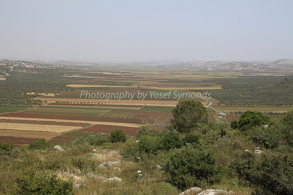 View of Dotan Valley from Maoz Tzvi 22