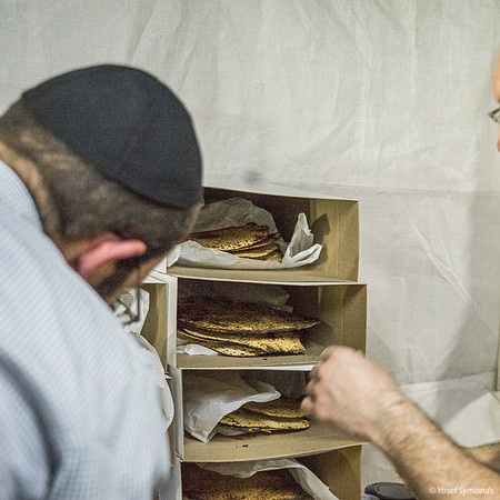 Boxing the Matza 190408-1