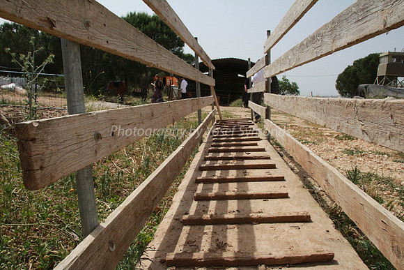 Mobile Walkway 2