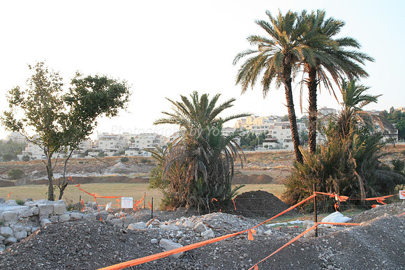 Mem 3 Antiquities Ramat Beit Shemesh  (15)