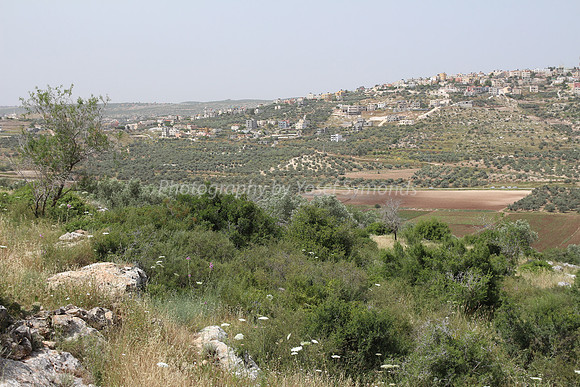 View of Dotan Valley from Maoz Tzvi 18