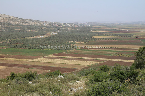 View of Dotan Valley from Maoz Tzvi 10