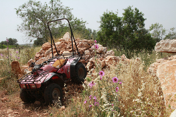 Dune Buggy on Maoz Tzvi 2