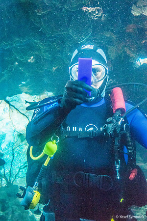 Scrubber Fish Takes a Selfie 220315-3