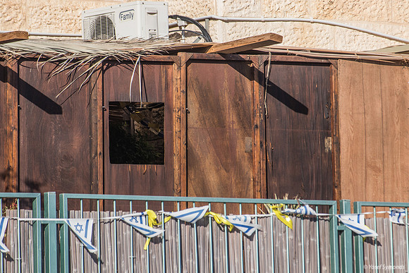 Well-Oiled Classic Sukkah 241023-1