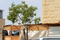 Filling in Suburban Gap Sukkah