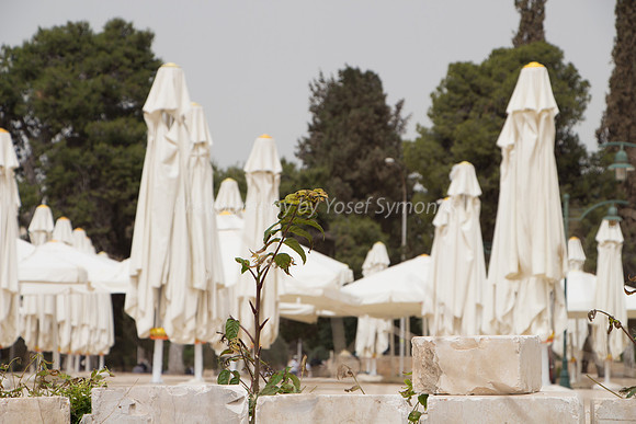 Temple Mount 140605 June 2014