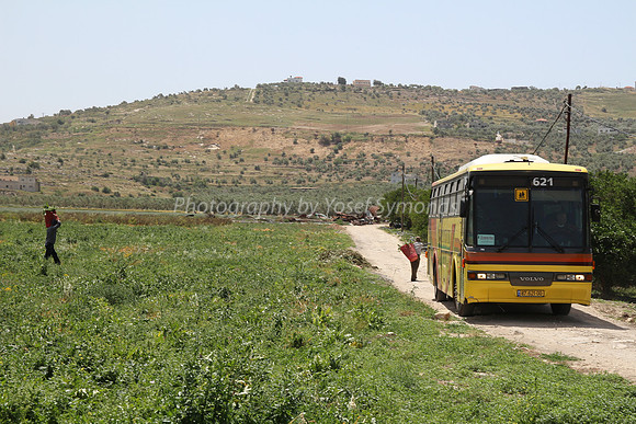 Agricultural Setting of Joseph's Pit 1
