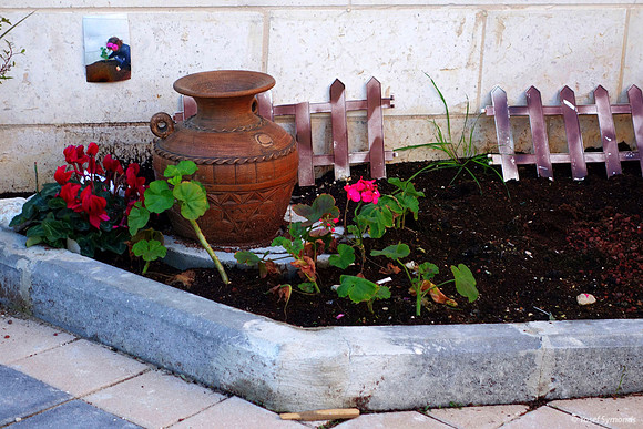 Kindergarten Garden Ramat Beit Shemesh 1