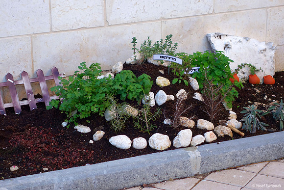 Kindergarten Garden Ramat Beit Shemesh 2