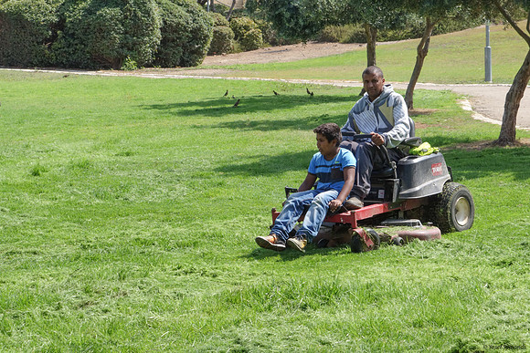 Mowing Grass - Ayalaon Park 2
