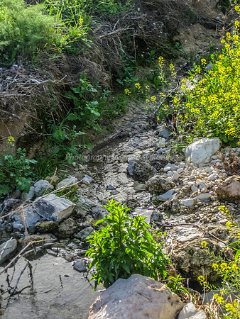 Stream in Yarmut Valley 2014-2