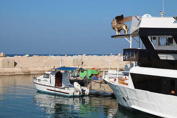 Jaffa Fishing Port